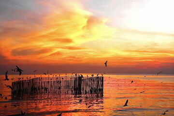 Silhouette of an orange sky at dusk at Bang Pu Recreation Ground, Thailand
