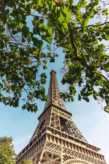 Eiffel tower from below with trees