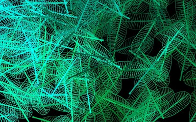 Dark Green vector elegant background with leaves.