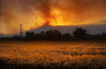Fototapeta na wymiar Rural landscape with dramatic wildfire at night and field of wheat on the foreground 