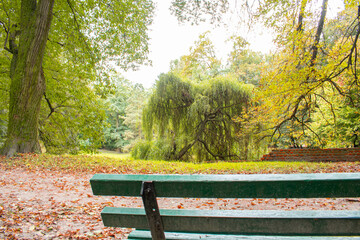 Ławka w parku jesienią