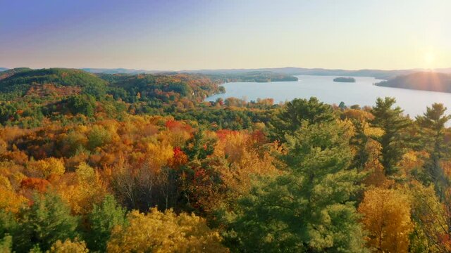 Fall Colors New England Beauty Dynamic Flyover Forest Conservation Save The Planet Aerial Drone