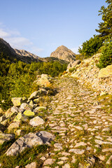Fototapeta na wymiar Mountain landscape in Campcardos valley, Pyrenees, France
