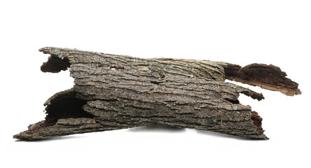 Tree rotten bark roll isolated on white background