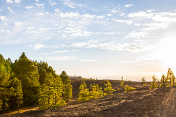 Spring sunset in Llano del Jable, La Palma Island, Canary Islands, Spain