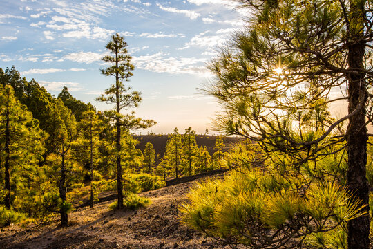 Spring sunset in Llano del Jable, La Palma Island, Canary Islands, Spain