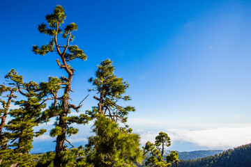 Sunrise in Roque De Los Muchachos in La Palma Island, Canary Islands, Spain