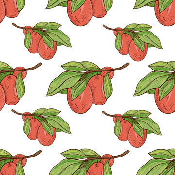 Jujube. Berries, Leaves.Background, Texture. Seamless. Color Sketch On A White Background.