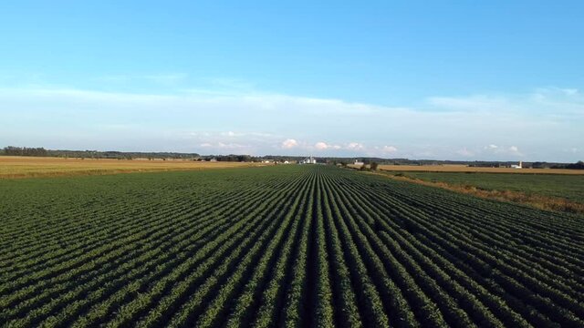 ariel view of a farmers field on a sunny day