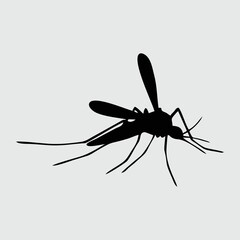 Mosquito Silhouette, Mosquito Isolated On White Background 
