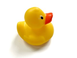 yellow rubber duck isolated