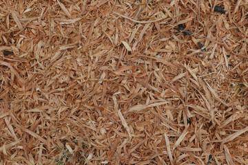 wood shavings and sawdust background