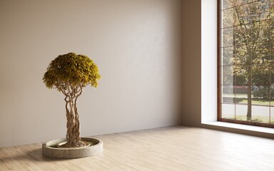 Empty room; plaster wall with bonsai tree in pot; template design; 3d rendering, 3d illustration