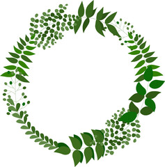 A set of green leaves in the form of a round wreath.