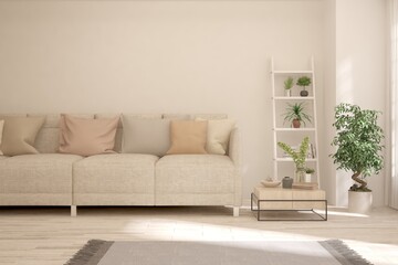 White living room with sofa. Scandinavian interior design. 3D illustration