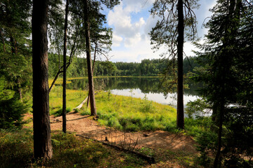 Dystrophic lake in Krolewska Sosna nature reserve, Masurian Landscape Park, Masurian Lake District, Poland - obrazy, fototapety, plakaty