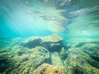 Underwater view of Alghero rocky seabed