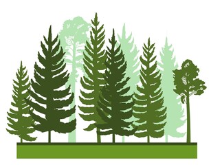 Obraz premium Forest silhouette scene. Landscape with coniferous trees. Beautiful view. Pine and spruce trees. Summer nature. Isolated illustration vector