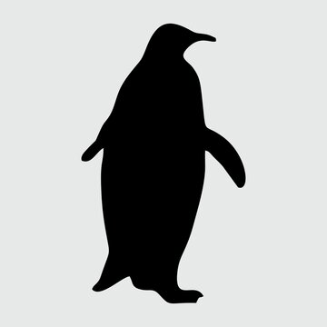 Penguin Silhouette, Penguin Isolated On White Background