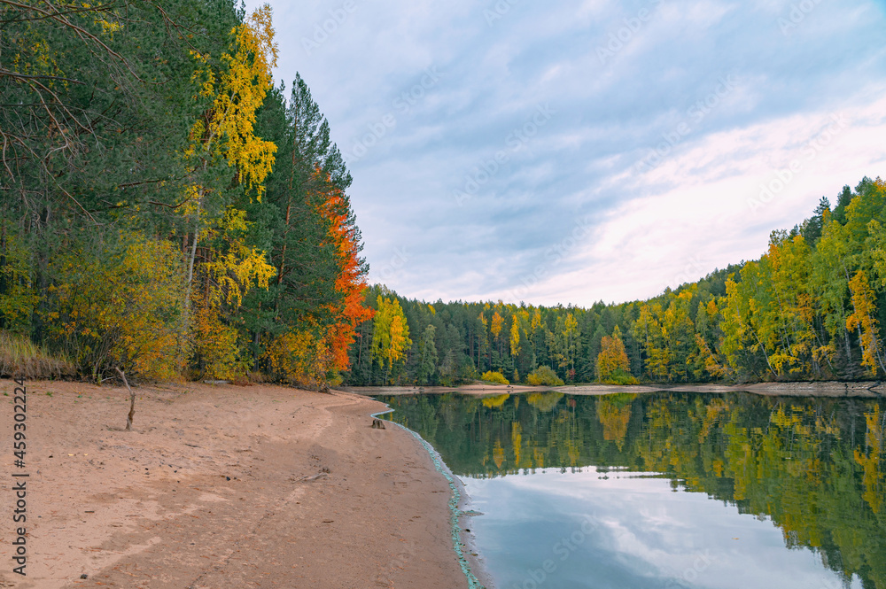 Wall mural panoramic view of the bright colorful trees along the bank of the kama river russia perm krai. autum