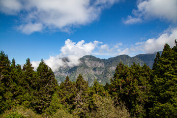 View of forest and mountain in national park in taiwan
