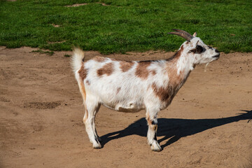 Vogelpark Marlow