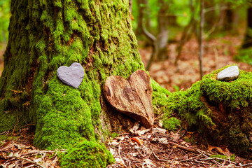 Funeral Heart sympathy. funeral heart near a tree. Natural burial grave in the forest. Heart on grass or moss. tree burial, cemetery and All Saints Day concepts	 - obrazy, fototapety, plakaty