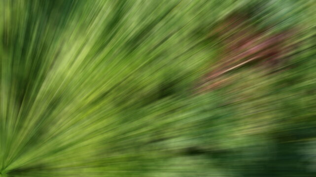 striped green background, abstract image