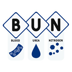 BUN - Blood Urea Nitrogen acronym. medical concept background.  vector illustration concept with keywords and icons. lettering illustration with icons for web banner, flyer, landing