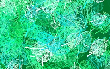 Light Green vector doodle template with leaves.