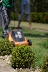 mowing the grass behind the bush