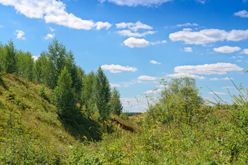 Fototapeta na wymiar Green hillside with trees on a sunny summer day
