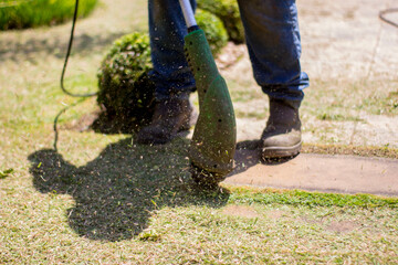 person working on a garden