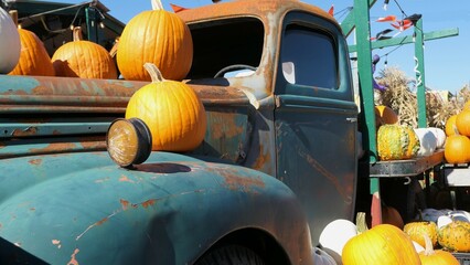 pumpkins in a car