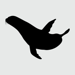 Sea Lion Silhouette, Sea Lion Isolated On White Background