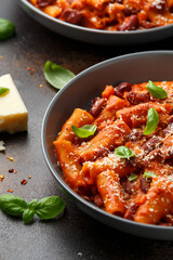 Traditional Italian Pasta e fagioli with bean, tomato and parmesan cheese