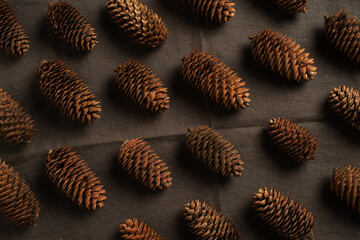 Fir cones on the brown linen cloth