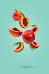 Flying fresh ripe nectarines - peaches with green leaves levitating against pastel green background.