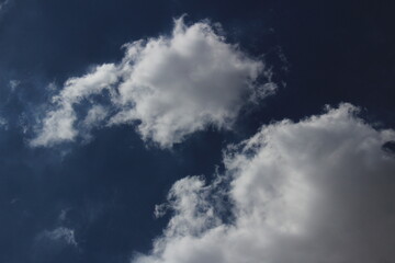 The sun rays on green palm leaves with blue clouds in the background. Sun rays on the Green leafs