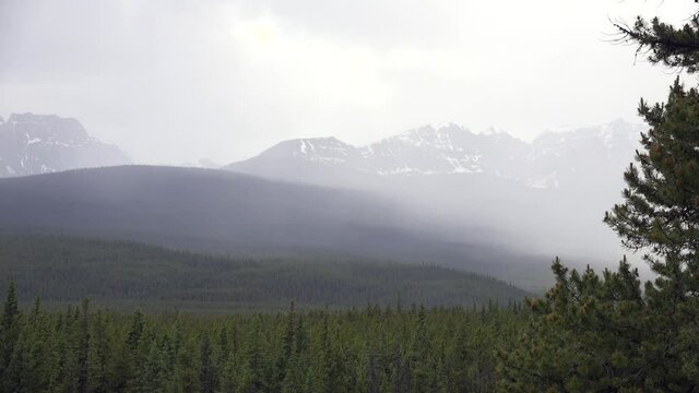 the rocky mountains on a spring day