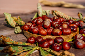 Chestnuts in a plate with dry leaves on a brown wooden table. Autumn still life with bright horse chestnuts on wooden background