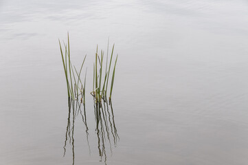 Wonderful landscape of the lake and water reflections