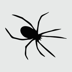 Spider Silhouette, Spider Isolated On White Background