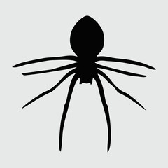 Spider Silhouette, Spider Isolated On White Background
