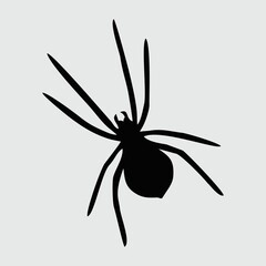 Spider Silhouette, Spider Isolated On White Background