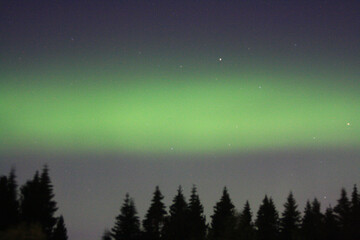 Auroras boreales en Tiller, Trondheim ( Norway). Tomada desde el bosque de Tiller en Septiembre 2021