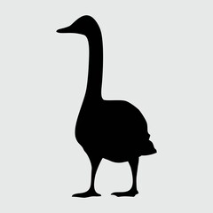 Swan Silhouette, Swan Isolated On White Background