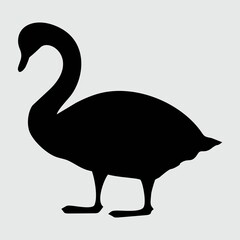 Swan Silhouette, Swan Isolated On White Background
