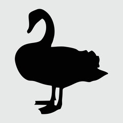 Swan Silhouette, Swan Isolated On White Background