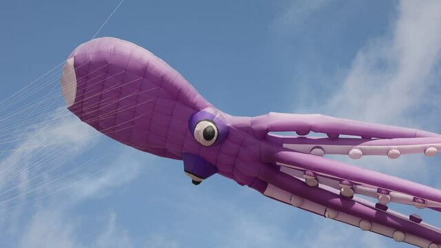 Big kite surfing the sky
